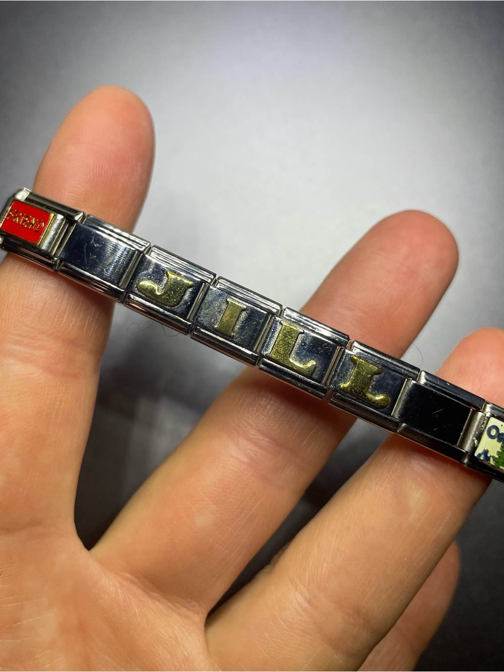 Jill Friend Oregon Stainless Steel Link Bracelet
